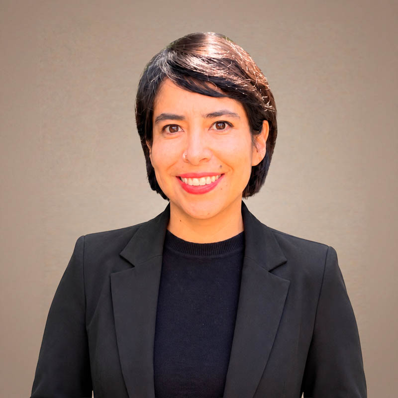 Dra. Irina Vázquez Villaseñor